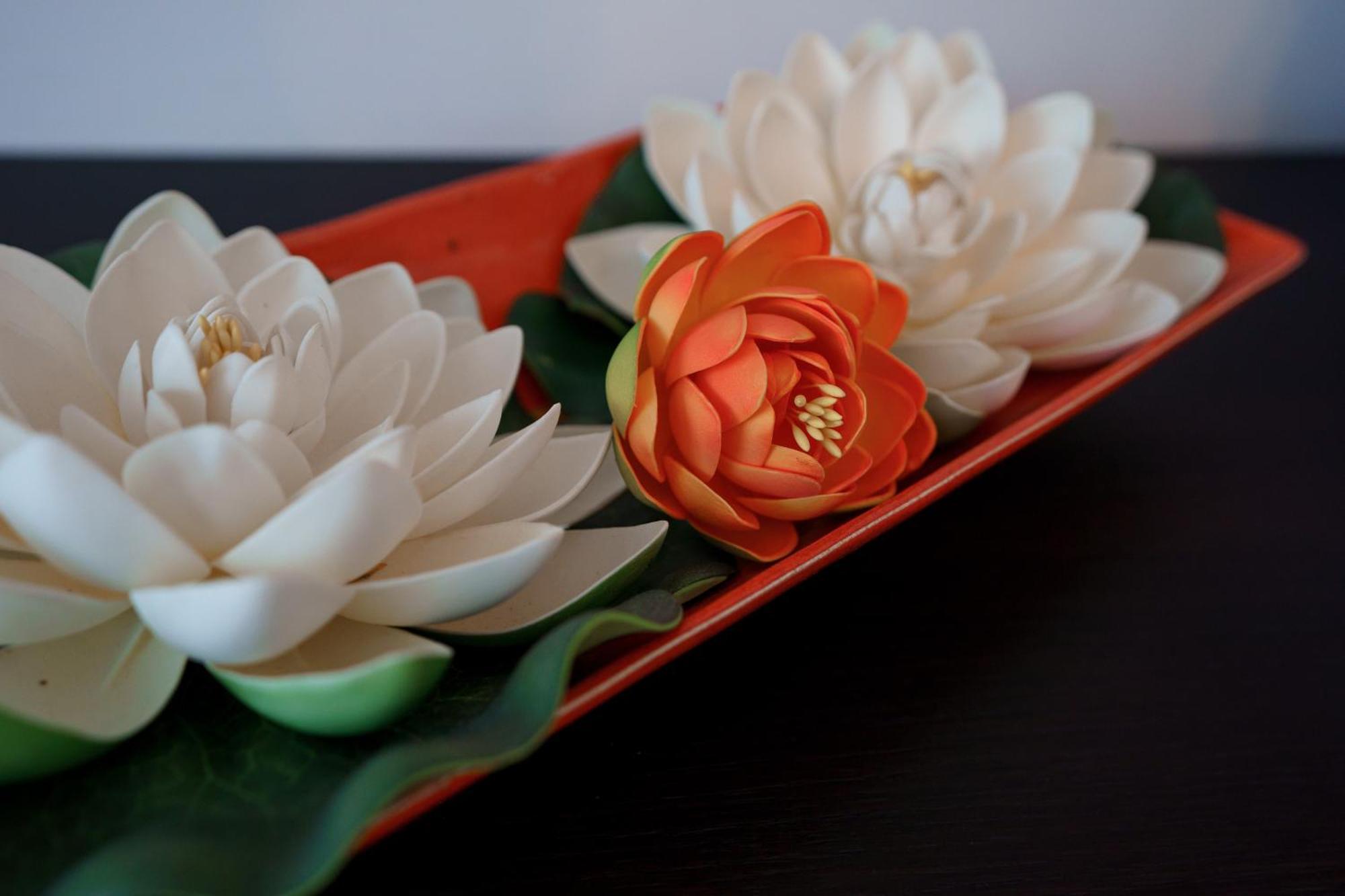 Raluca Hotel Navodari Ngoại thất bức ảnh